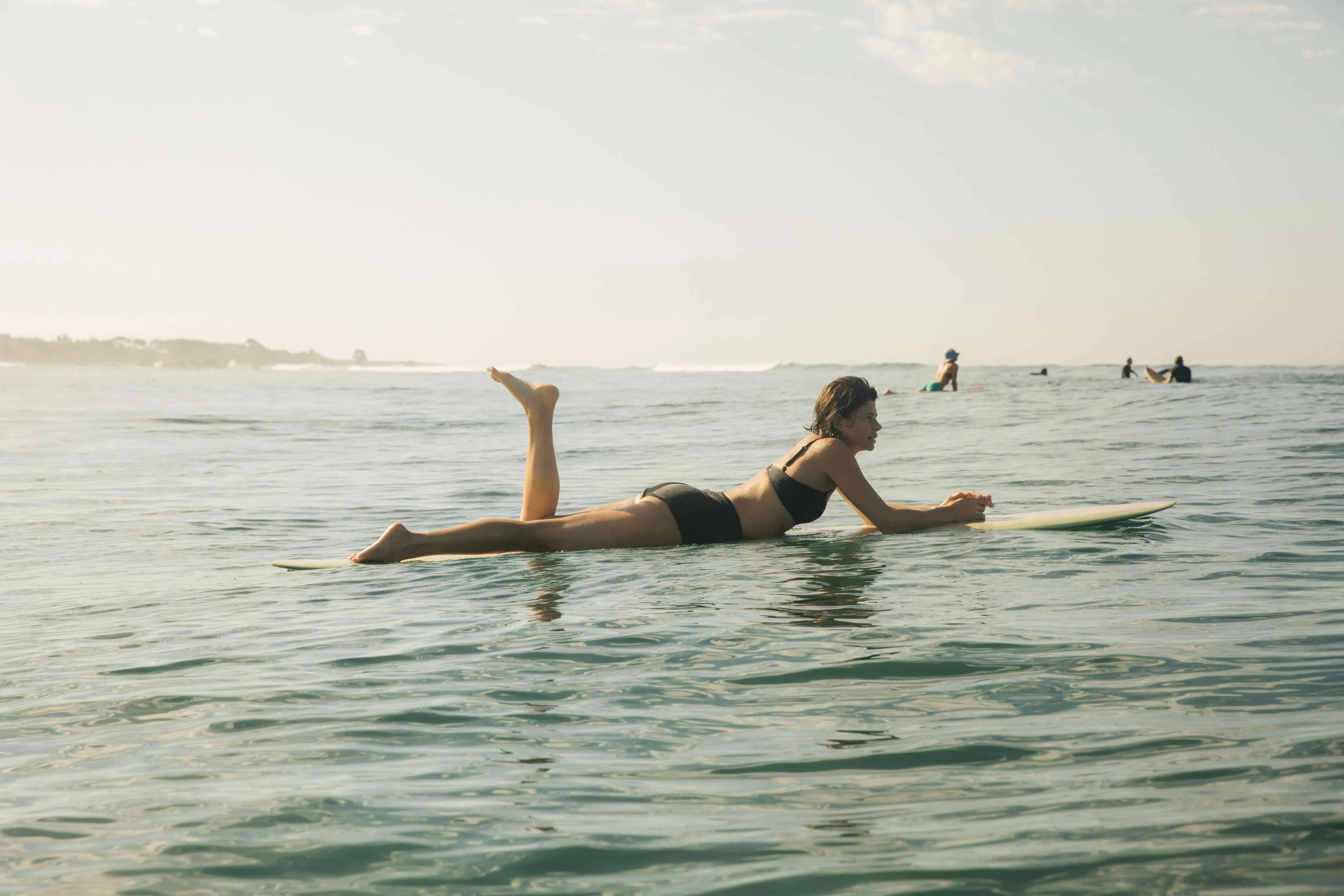 Sisterhood Surf Shorts