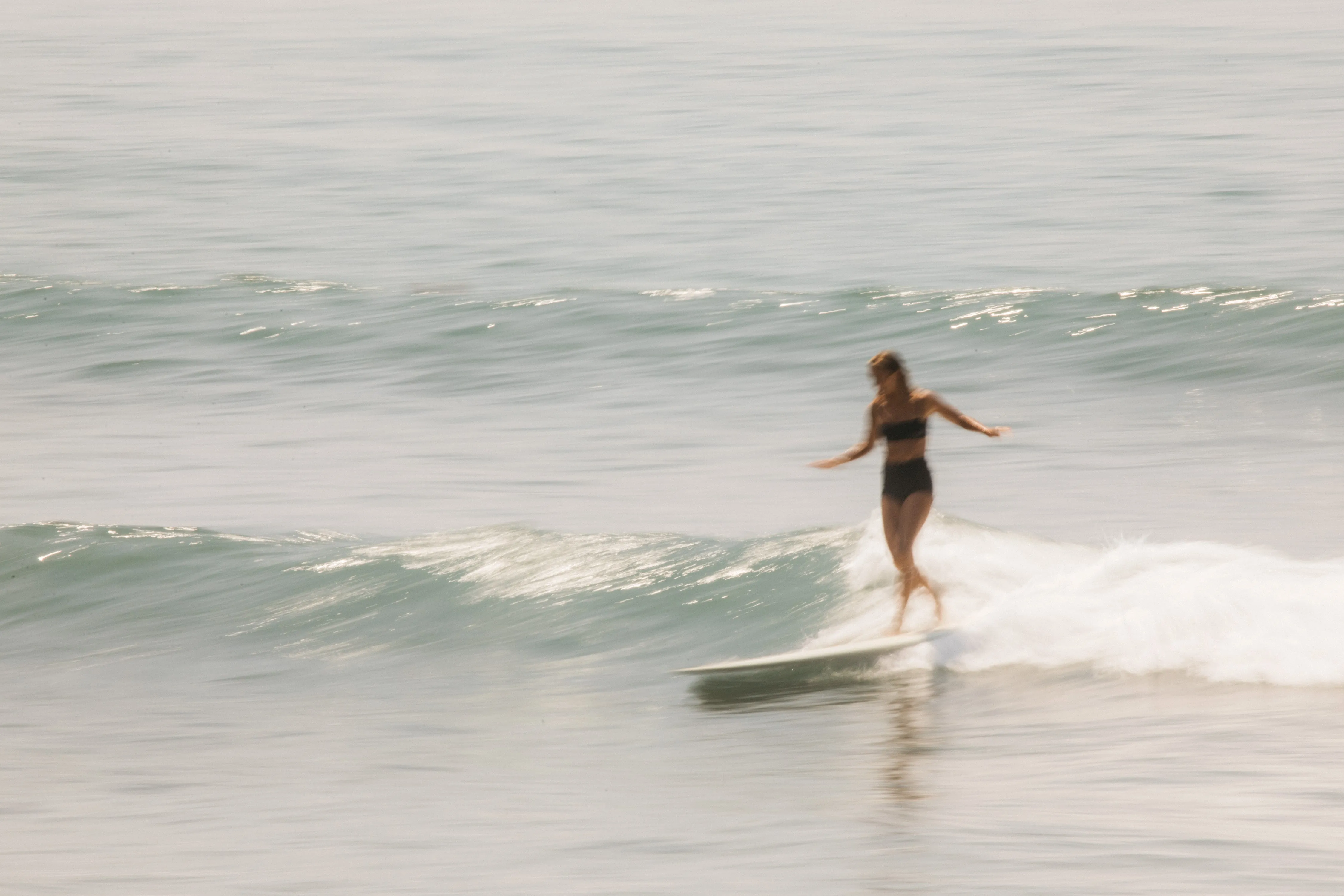 Sisterhood Surf Shorts